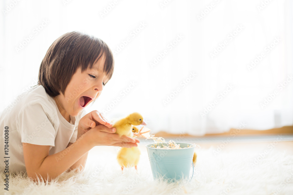 Cute little boy with duckling springtime, playing together Cute little boy with duckling springtime, playing together