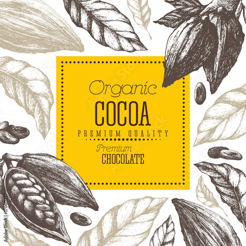 Chocolate cocoa products vector illustration with leaves and pods. Handmade sweet, organic food, eco design. Vintage elements isolated. photo