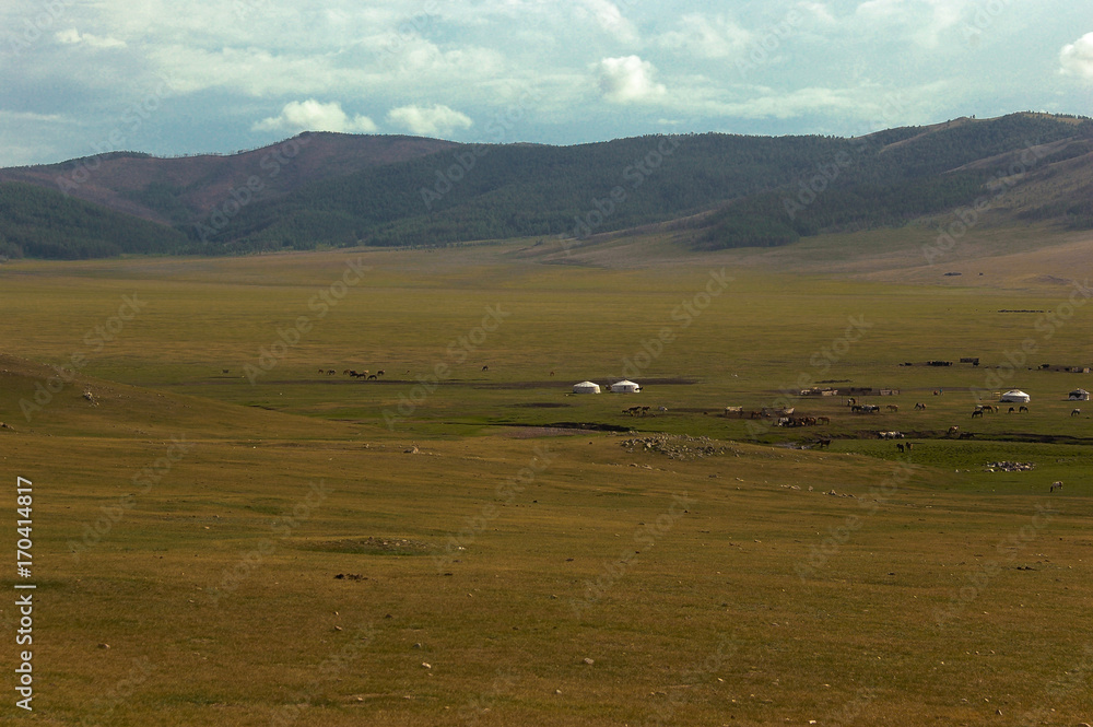 Typical mongolian landscape and steppe