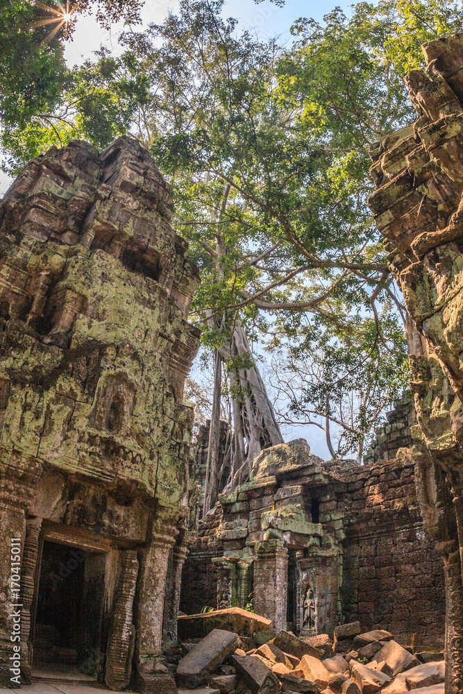 Ancient gallery of amazing Ta Prohm temple overgrown with trees. Mysterious ruins of Ta Prohm nestled among rainforest in Angkor, Siem Reap, Cambodia. Ta Prohm is also known as Tomb Raider