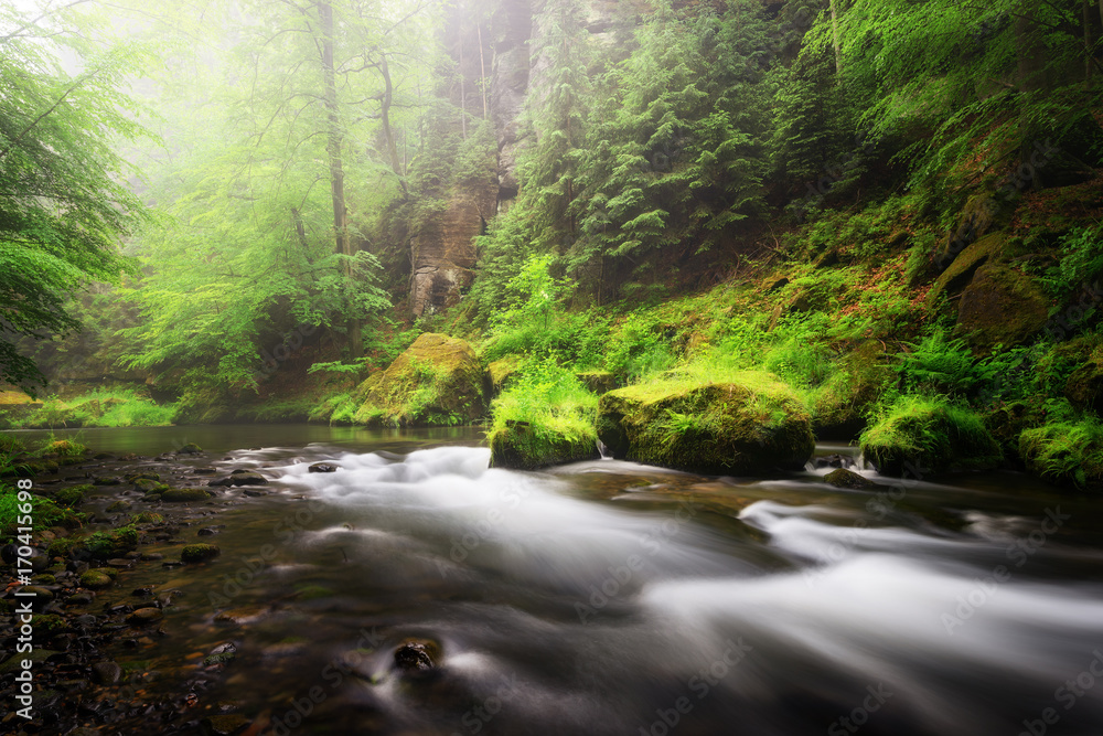 Rainy autumn season. River view at Edmund Gorge of Bohemian Switzerland National Park, Czech republic Rainy autumn season. River view at Edmund Gorge of Bohemian Switzerland National Park, Czech republic