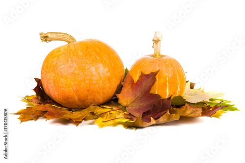 Pumpkins and fall leaves