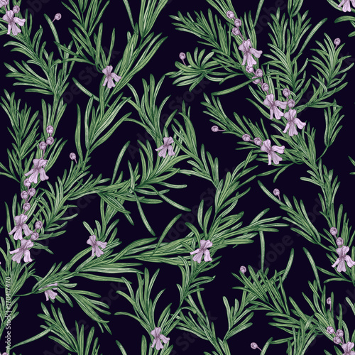 Natural seamless pattern with green rosemary plants and blooming flowers on black background. Wild herb hand drawn in vintage style. Vector illustration for wallpaper, textile print, backdrop.