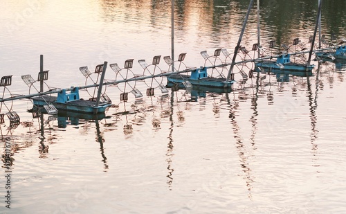 shrimp farm with paddle wheel aerator © pimonpim