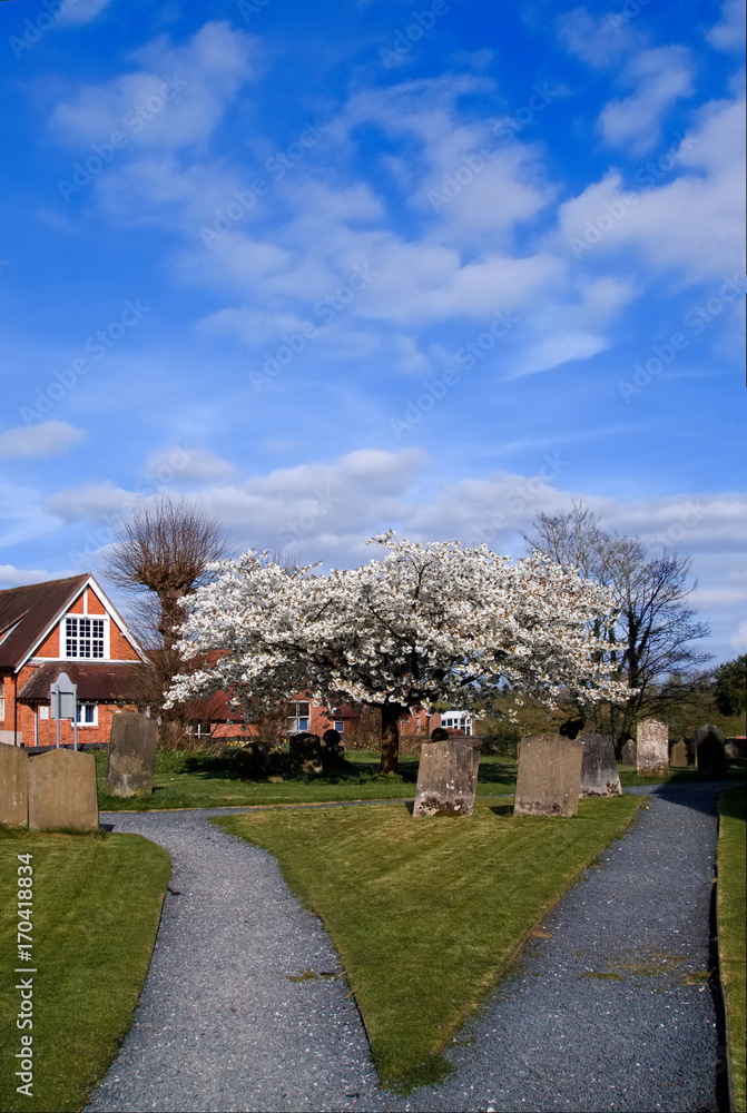 Obraz premium Old graves cemetery Village Cotswolds England Cotswolds