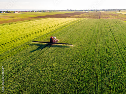 Tableau sur toile Farmer spraying green wheat field