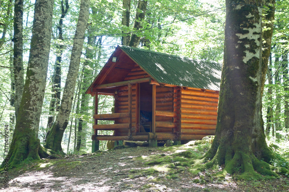wild cabin wild cabin