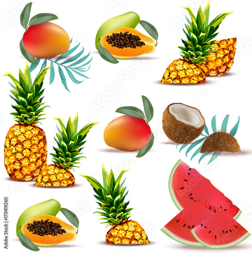 Summer tropic fruits papaya, pineapple, fresh coconut, watermelon, mango Coll...