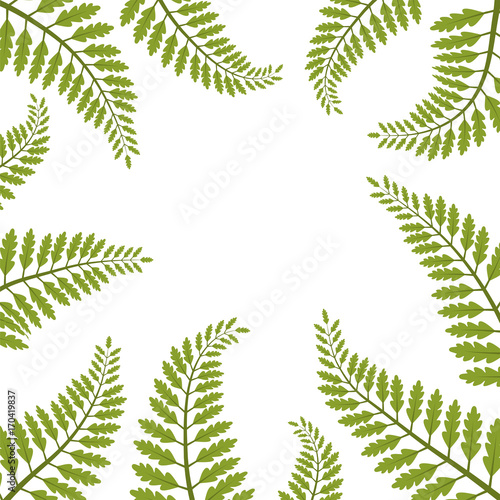 Beautiful foliage - fern leaves VECTOR frame