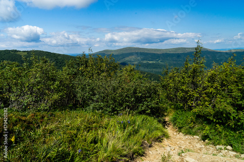 Fototapeta Naklejka Na Ścianę i Meble -  Bieszczady 033