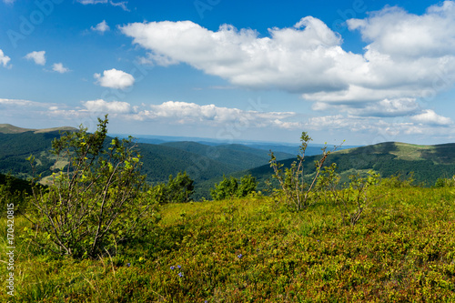 Fototapeta Naklejka Na Ścianę i Meble -  Bieszczady 017
