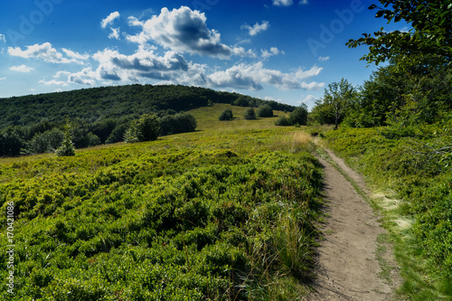 Fototapeta Naklejka Na Ścianę i Meble -  Bieszczady 010
