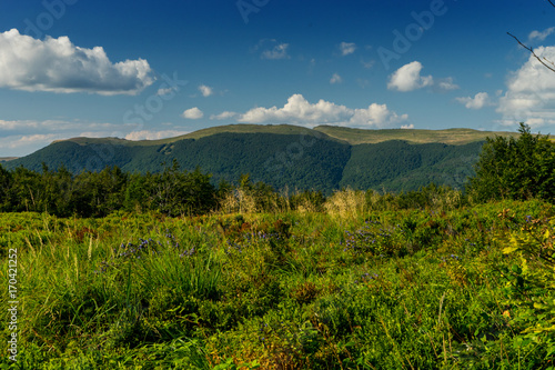 Fototapeta Naklejka Na Ścianę i Meble -  Bieszczady 006