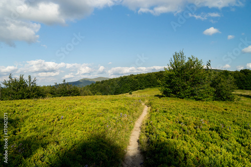 Fototapeta Naklejka Na Ścianę i Meble -  Bieszczady 006