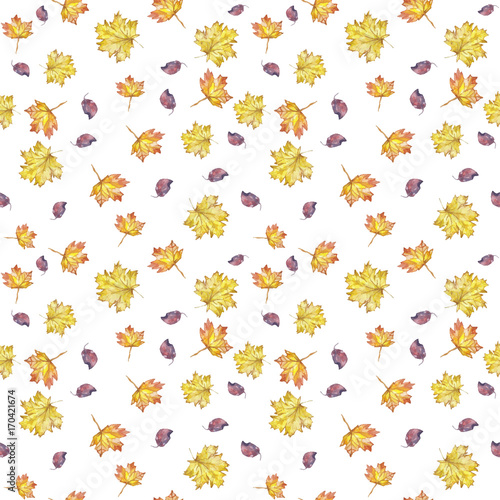 watercolor pattern seamless background autumn leaves maple leaves yellow on white background