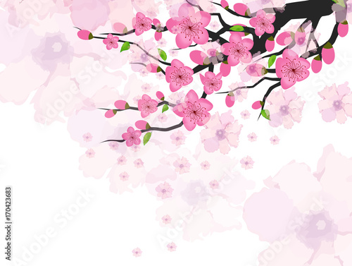 Chinese New Year card with plum blossom