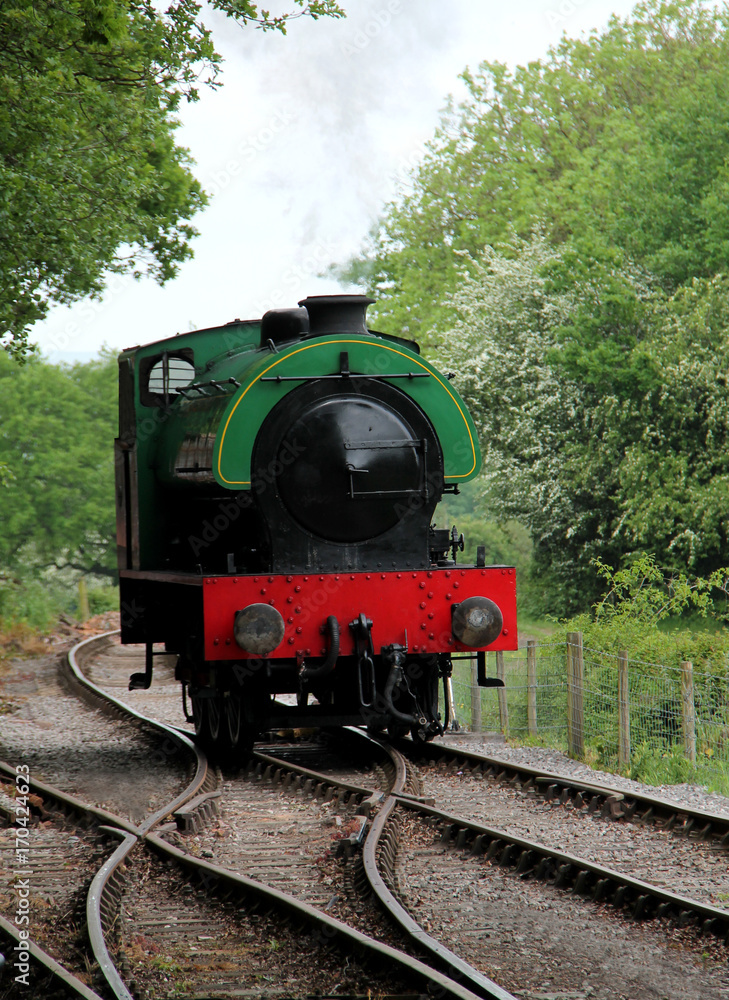 Fototapeta premium A Classic Small Vintage Railway Steam Engine.