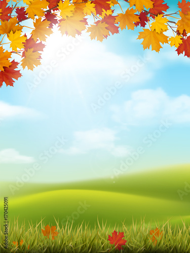 Vector autumn landscape with sky and hills. Maple branches and grass with fallen leaves on foreground.