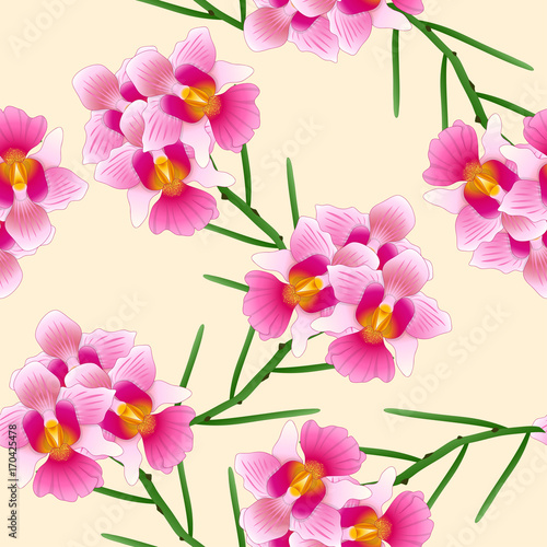 Pink Vanda Miss Joaquim Orchid. Singapore National Flower. on Ivory Beige Background.
