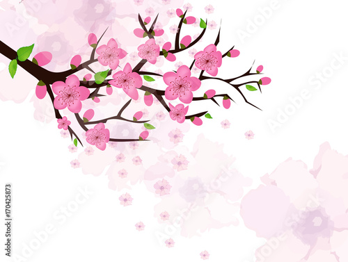 Chinese New Year card with plum blossom and lantern