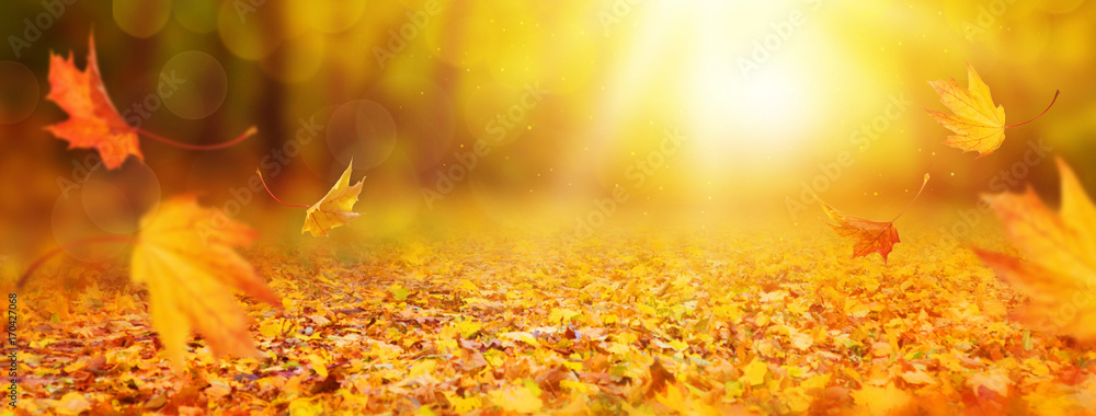 Abstract autumn background - obrazy, fototapety, plakaty 