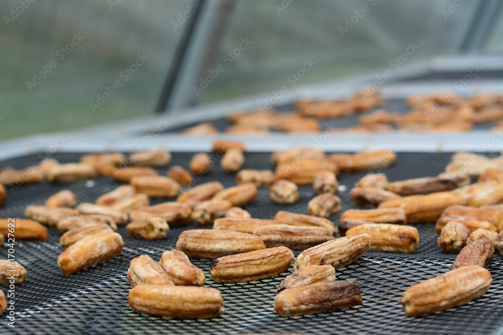 Dried bananas with solar cell, Food Preservation. Dried bananas with solar cell, Food Preservation.