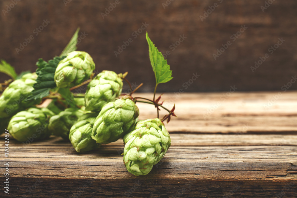 Fototapeta premium beer hop 