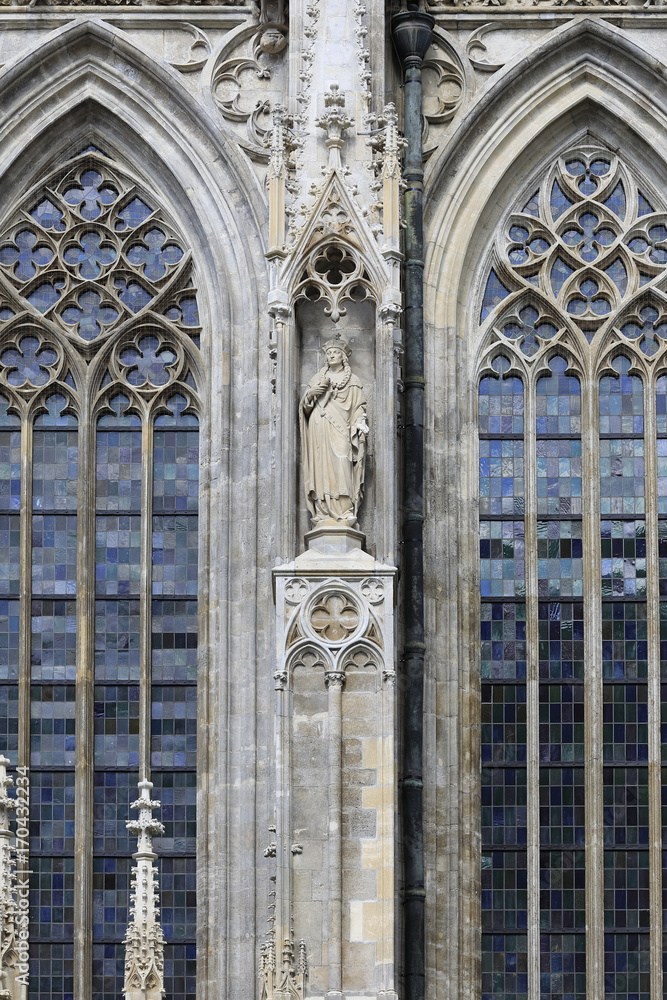 Wien, Fenster des Stephansdomes