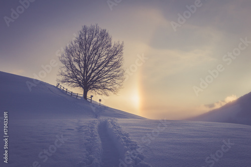 Winterlandschaft: Sonnenaufgang, Baum und Fußspuren 