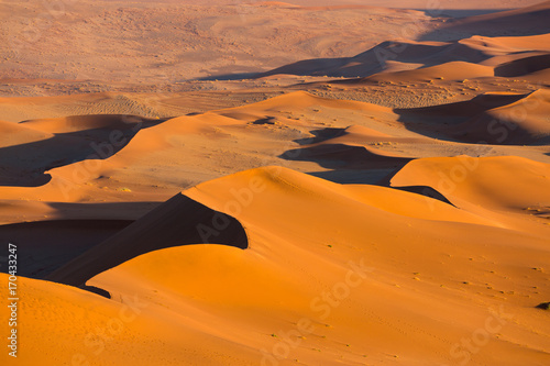 Namibia  Namib desert sand dunes at sunrise