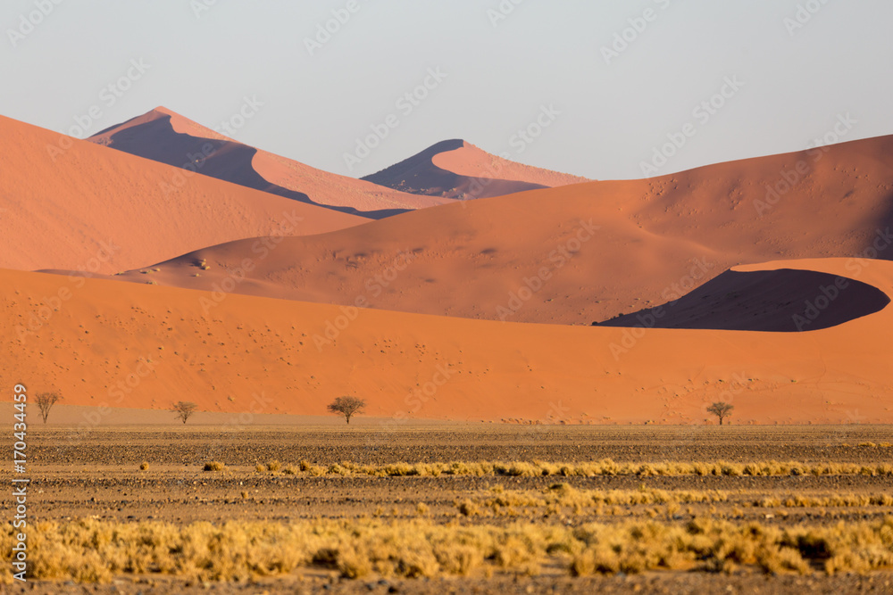 Namibia, Namib desert sand dunes at sunrise