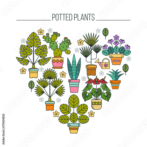 Potted plants. Flowers in pots. Arrangement of potted flowers in the shape of a heart. Isolated on white background.