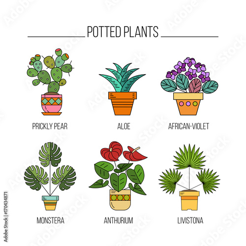 Potted plants. Isolated icons on white background.