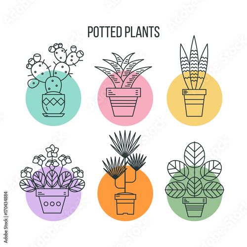 Potted plants. Linear isolated icons on white background.