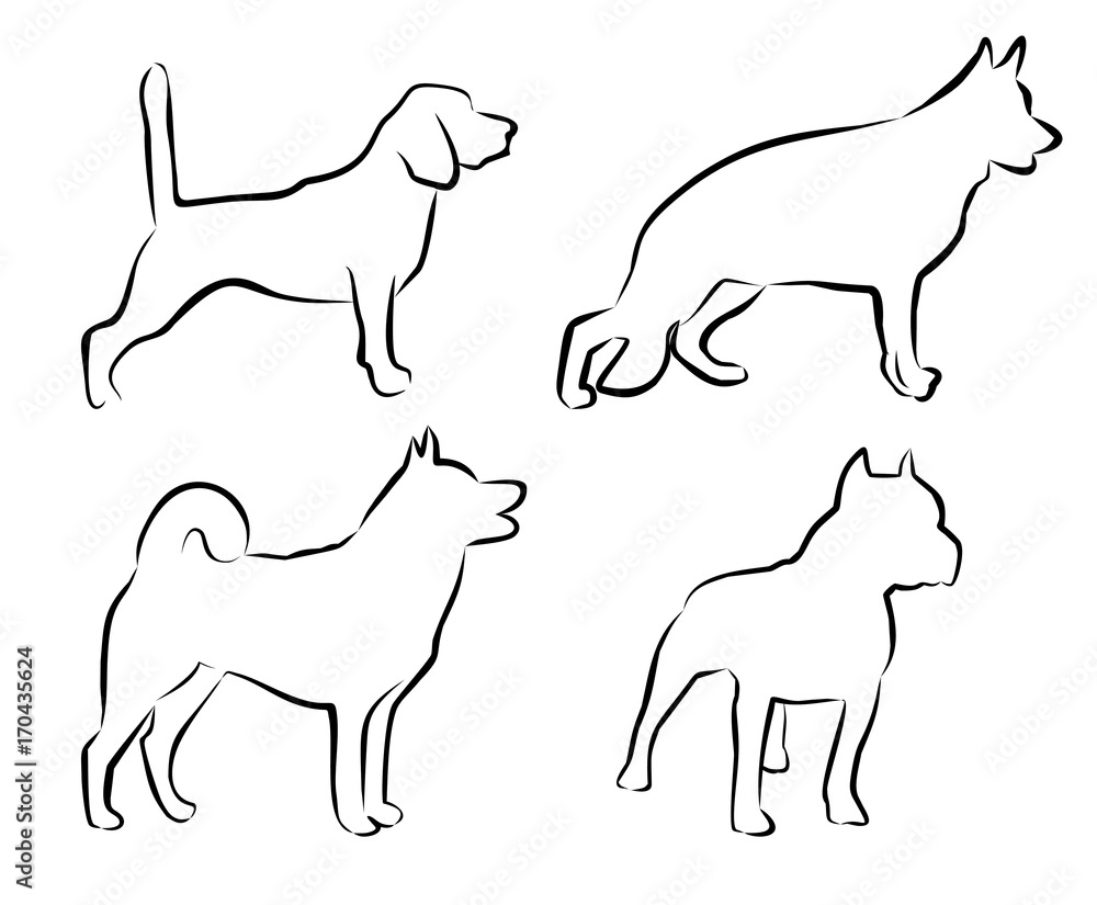 set contour dogs. simple vector illustration. petshop, veterinary, shelter