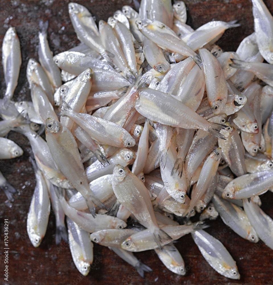 fresh fish on market fresh fish on market