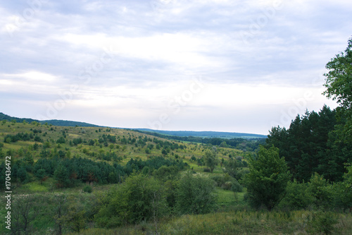 Summer landscape on a cloudy day in nature.