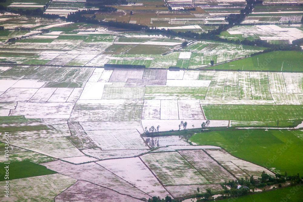 aerial view on green paddy fields and canals in the Mekong delta, Vietnam
