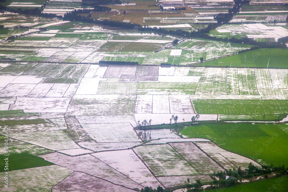 Fototapeta premium aerial view on green paddy fields and canals in the Mekong delta, Vietnam