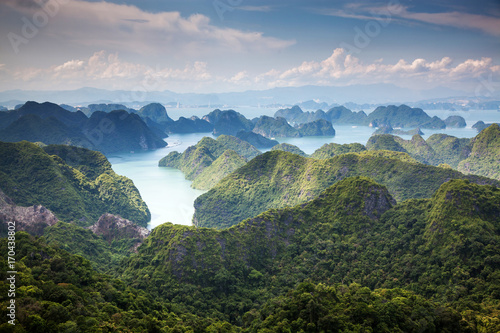 scenic view over Ha Long bay from Cat Ba island  Ha Long city in the background  UNESCO world heritage site  Vietnam