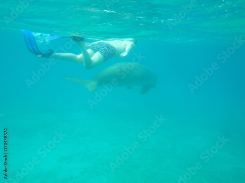 snorkeling with sea animals © Anatasia