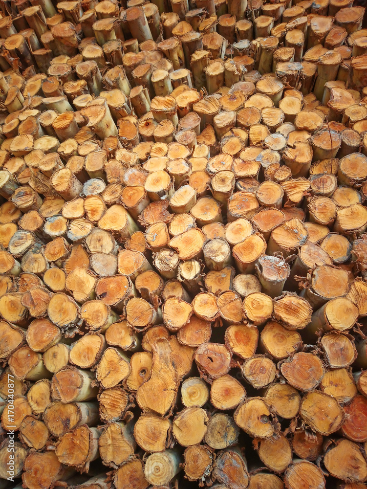log pieces of wood log pieces of wood