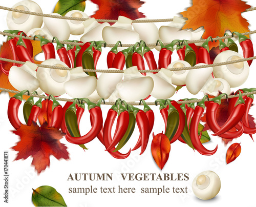 Autumn vegetable Mushroom and chilli peppers realistic background Vector illu...