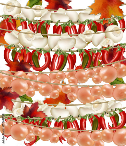 Vegetable Mushroom, onion and chilli realistic background Vector illustration