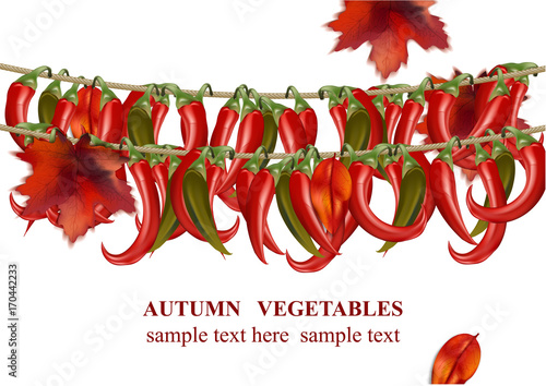 Autumn vegetable chili peppers realistic background Vector illustration
