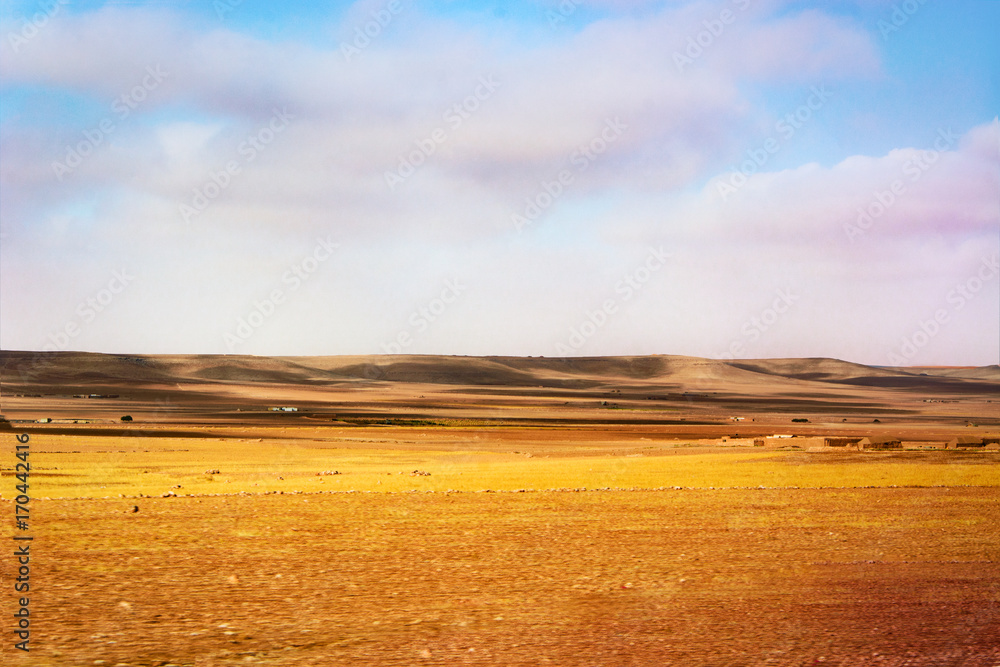 Fototapeta premium Desert landscape. Desert dunes cloudy day.