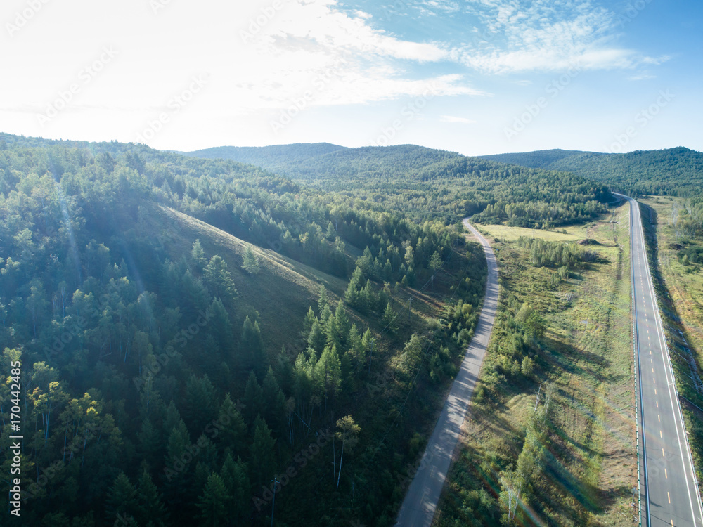 aerial shot of trail in forest landscape