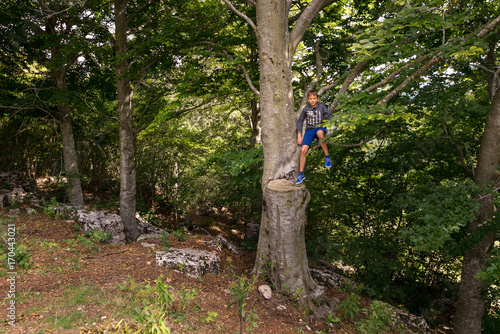 Wallpaper Mural the teenager is sitting on a tall tree. Torontodigital.ca