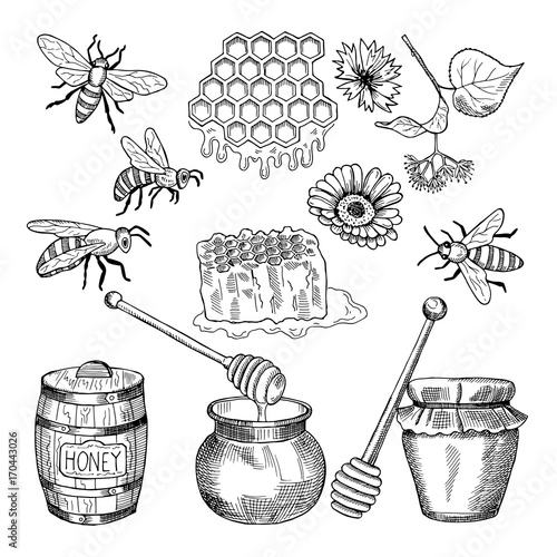 Vector hand drawn pictures of honey products