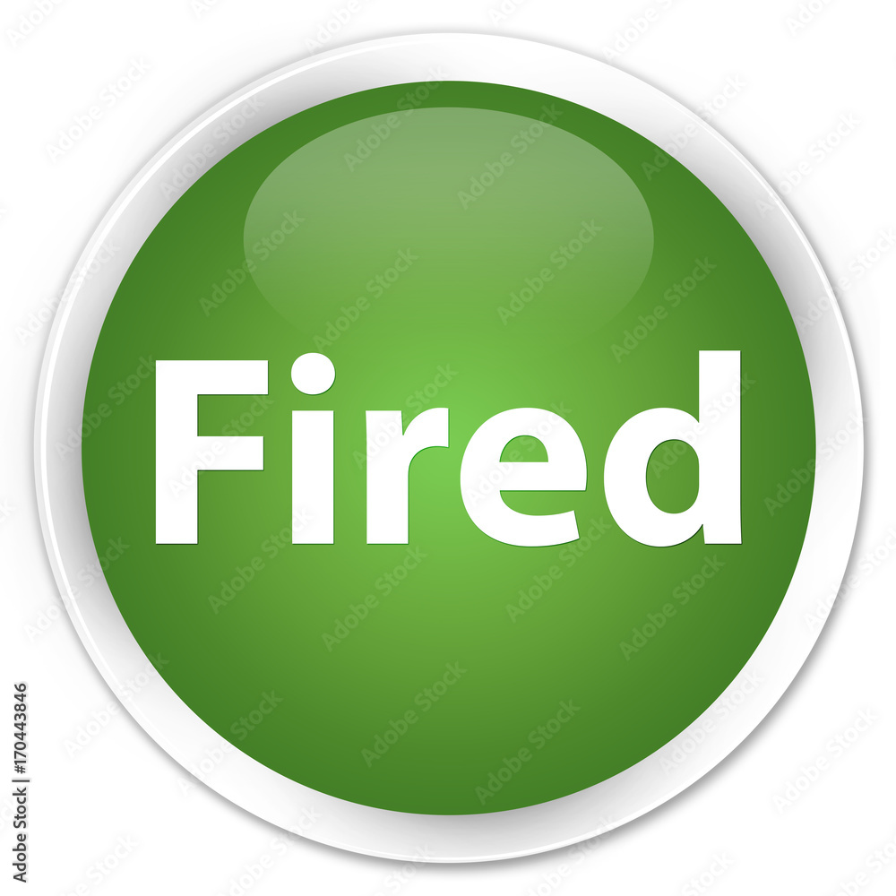 Fired premium soft green round button Fired premium soft green round button